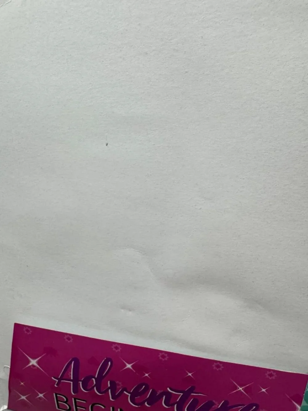 Disney Princess Adventure Begins Here Pink School Folder READ